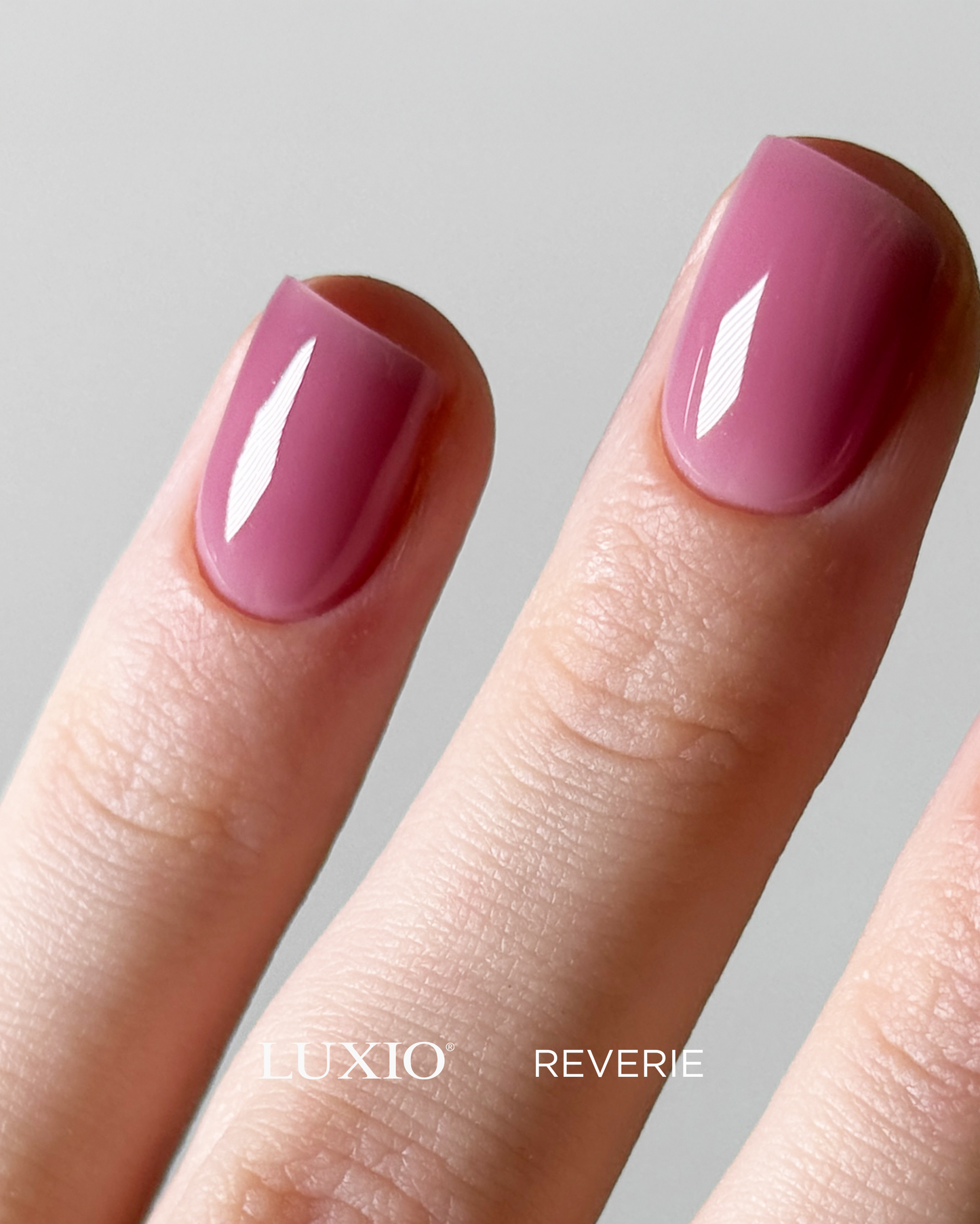 Luxio - Reverie