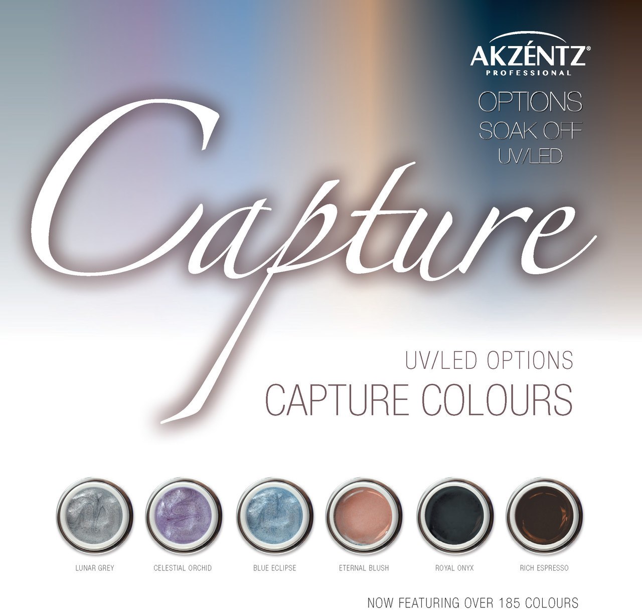 OPTIONS - ROYAL ONYX