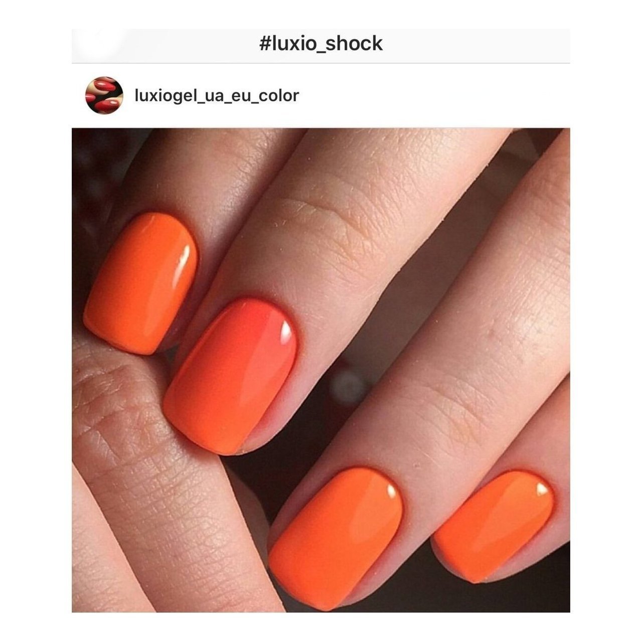LUXIO - SHOCK 15ml