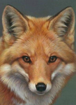 Gel Art Painting - Fox