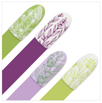 Moyra Stamping Plate 91 - Spicery