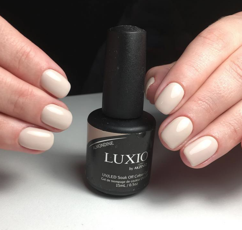 Luxio - Almondine
