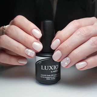 Luxio - Coy