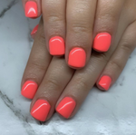 Options - Neon Brights Collection
