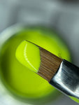 Options - Neon Brights Collection