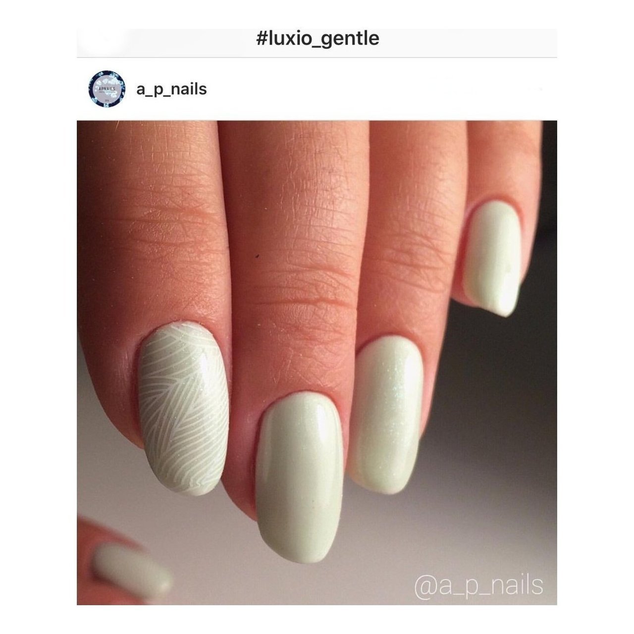 LUXIO - GENTLE 15ml