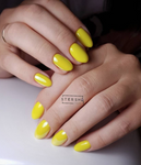 Luxio - NONSTOP 15ml PRE-ORDER