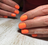 Luxio 8pc Neons/Bright Collection