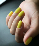Luxio - SUNBURST 15ml PRE-ORDER